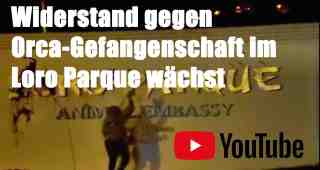 The NOW of Gütersloh