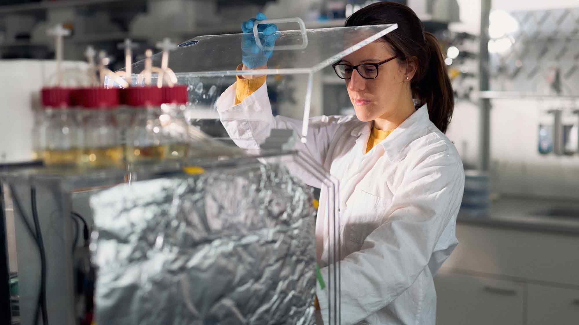 Brasilianische Forscherin entwickelt im HSBI Labor innovatives Verfahren zur Entwicklung eines biologischen Pflanzenschutzmittels