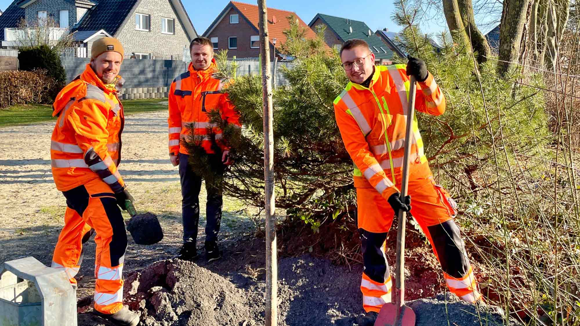 Rietberg setzt mehr als 120 neue Bäume – Ersatzpflanzungen und Neuanpflanzungen in allen Ortsteilen Rietberg setzt mehr als 120 neue Bäume – Ersatzpflanzungen und Neuanpflanzungen in allen Ortsteilen