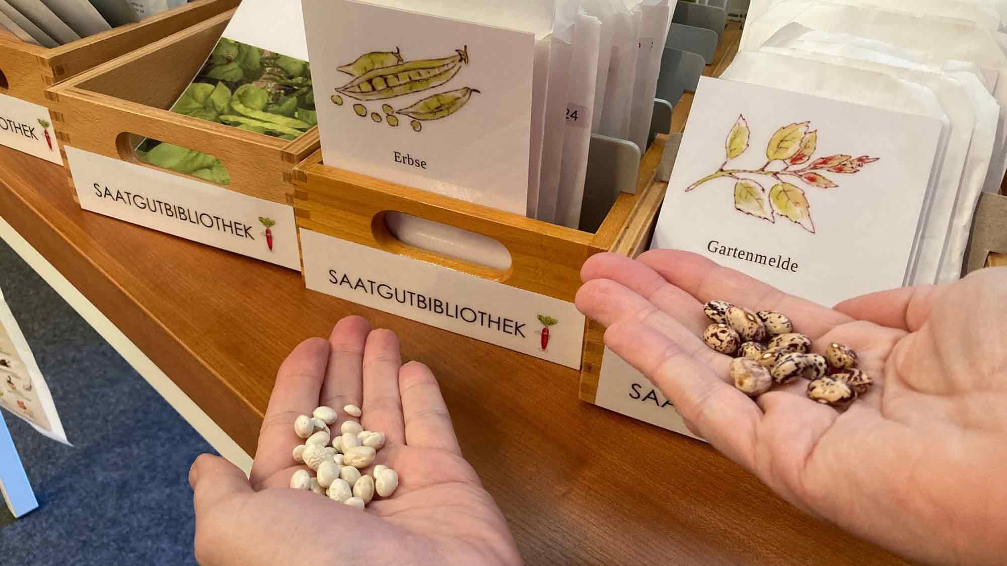 Detmold: Saatgutbibliothek eröffnet die Pflanzsaison, sortenreine und alte Sorten für den heimischen Gemüseanbau Detmold: Saatgutbibliothek eröffnet die Pflanzsaison, sortenreine und alte Sorten für den heimischen Gemüseanbau