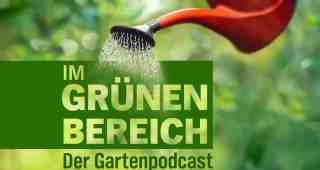 The NOW of Gütersloh