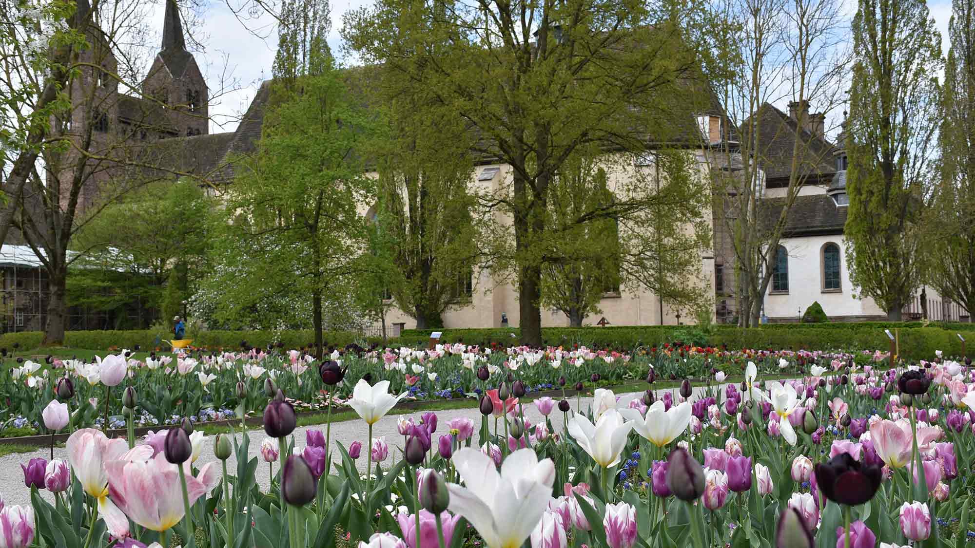 Klein Holland am Welterbe – Remtergarten am Schloss Corvey öffnet ab dem 12. April 2025 Klein Holland am Welterbe – Remtergarten am Schloss Corvey öffnet ab dem 12. April 2025