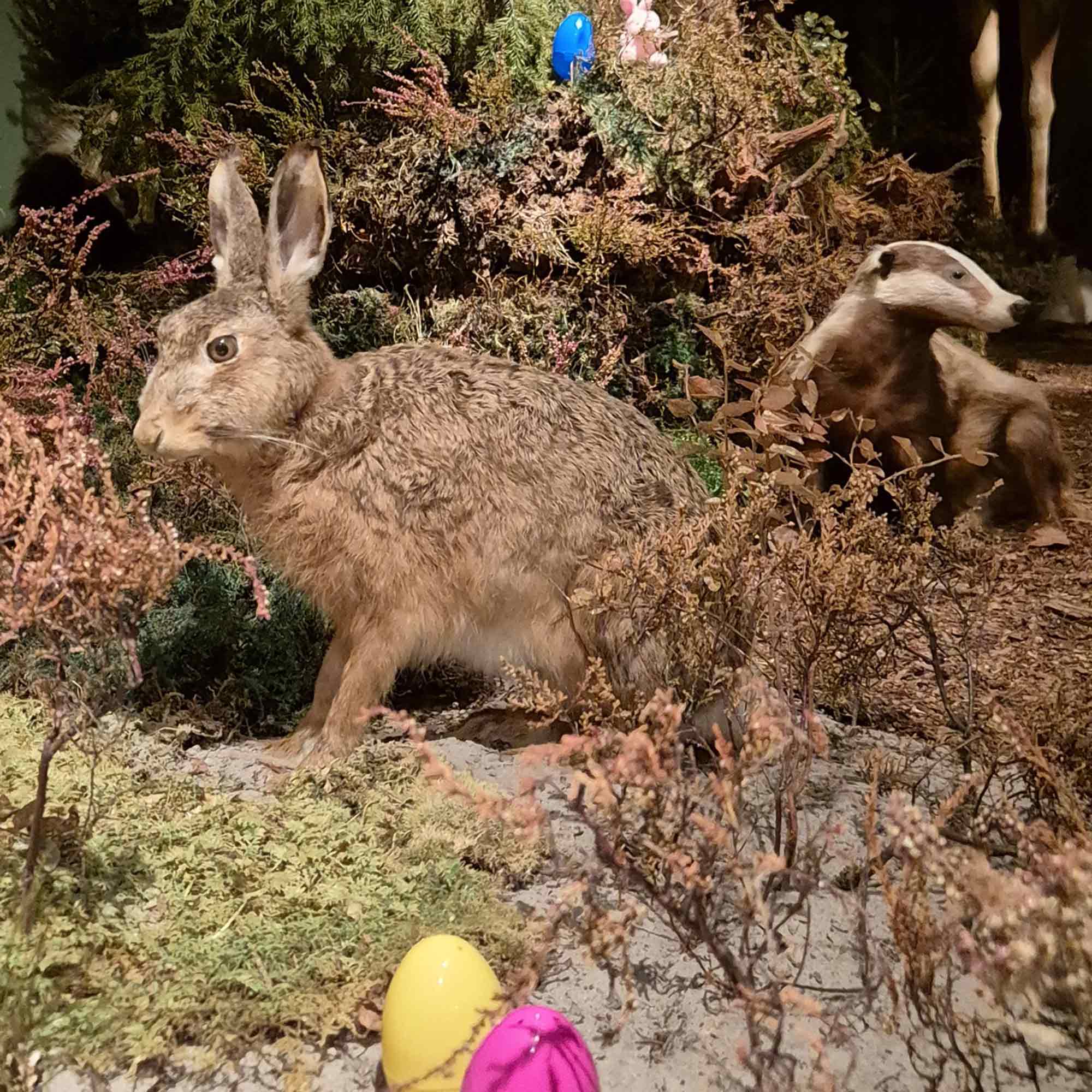 Im Museum sind die Hasen los: Osterferien Special für Familien mit Kindern im Lippischen Landesmuseum Detmold, 12. bis 27. April 2025 Im Museum sind die Hasen los: Osterferien Special für Familien mit Kindern im Lippischen Landesmuseum Detmold, 12. bis 27. April 2025