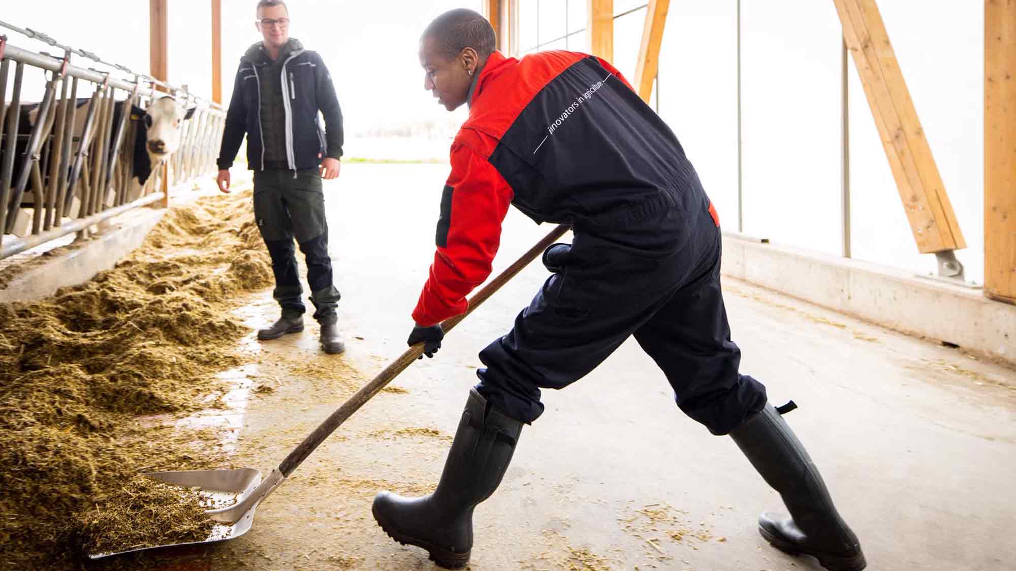 Gummistiefel statt Großstadt – Landwirtschaft zum Mitmachen beim Aktionstag »Landwirt für einen Tag« Gummistiefel statt Großstadt – Landwirtschaft zum Mitmachen beim Aktionstag »Landwirt für einen Tag«