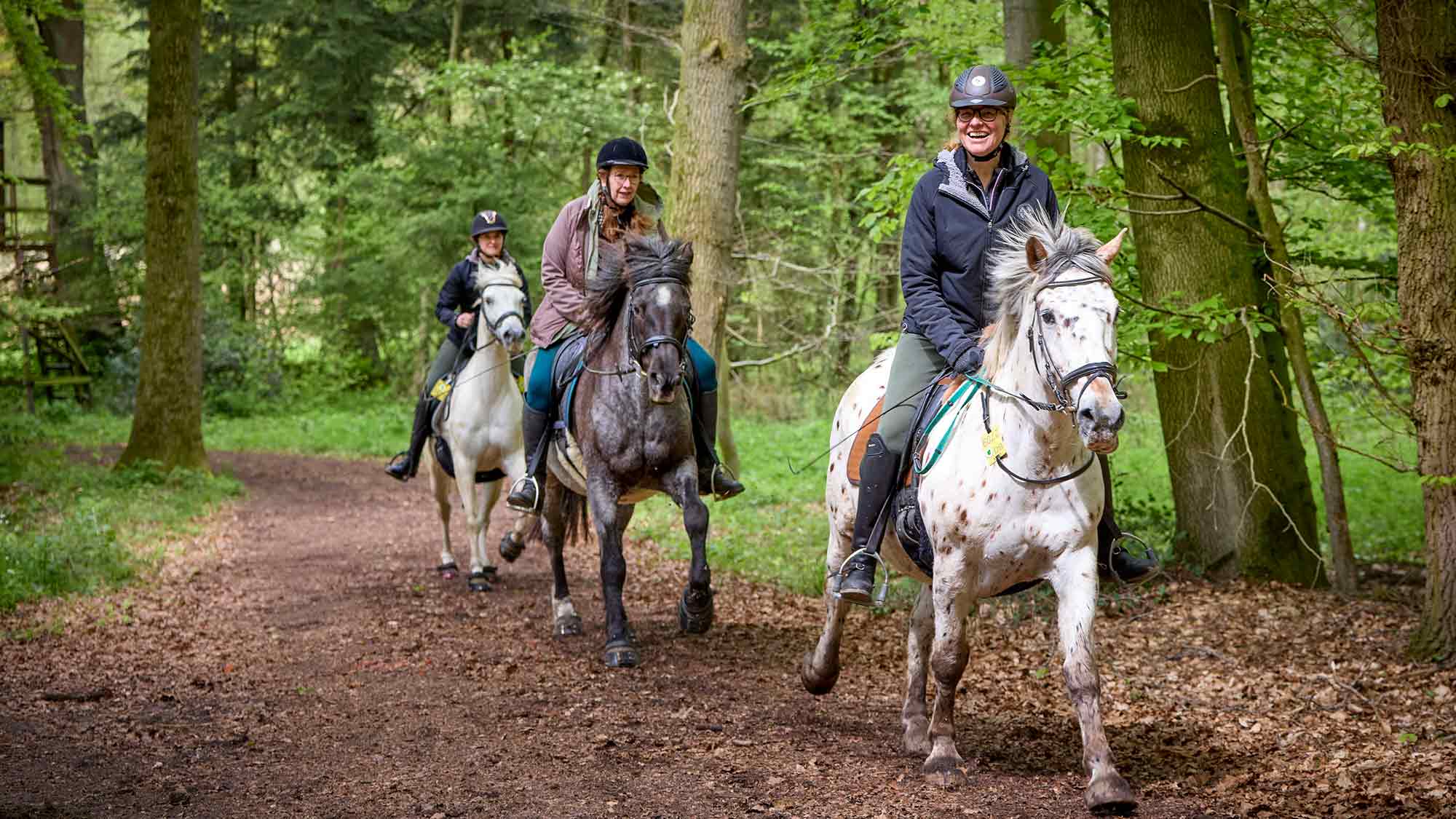 Mit dem Pferd in die Emsauen: Münsterland Ritt in Warendorf, Rundtour für Interessierte am 10. Mai 2025 Mit dem Pferd in die Emsauen: Münsterland Ritt in Warendorf, Rundtour für Interessierte am 10. Mai 2025