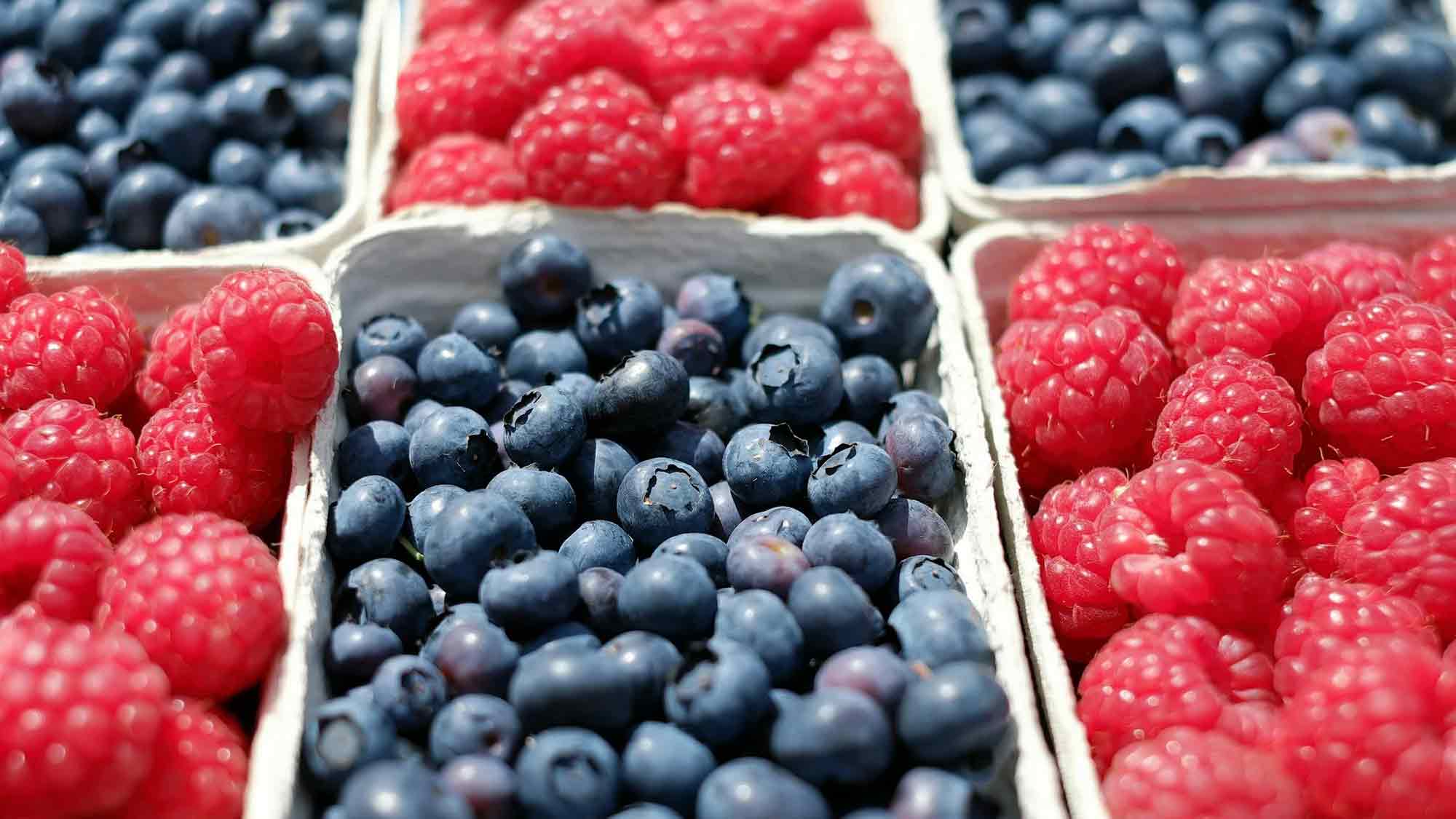 Him und Heidel, Brom, Erd, Stachel, Johannis und sonstige Beeren – frischer Genuss aus Gütersloh und Umgebung
