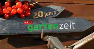 The NOW of Gütersloh