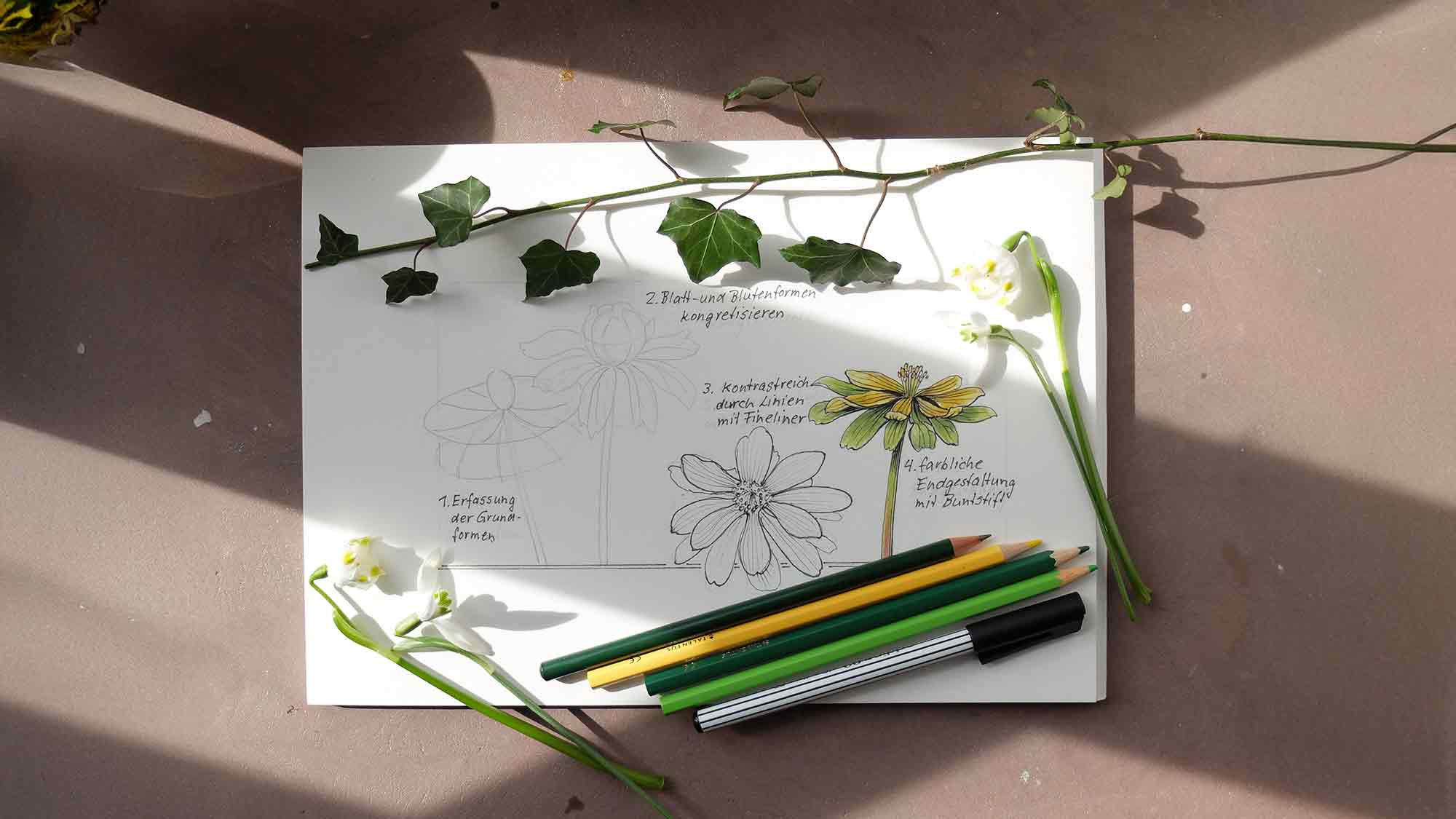 Kreativ in den Feierabend: Von der Pflanze zum Dekor – Zeichenworkshop im Museum Schloss Fürstenberg, 21. Mai 2025 Kreativ in den Feierabend: Von der Pflanze zum Dekor – Zeichenworkshop im Museum Schloss Fürstenberg, 21. Mai 2025