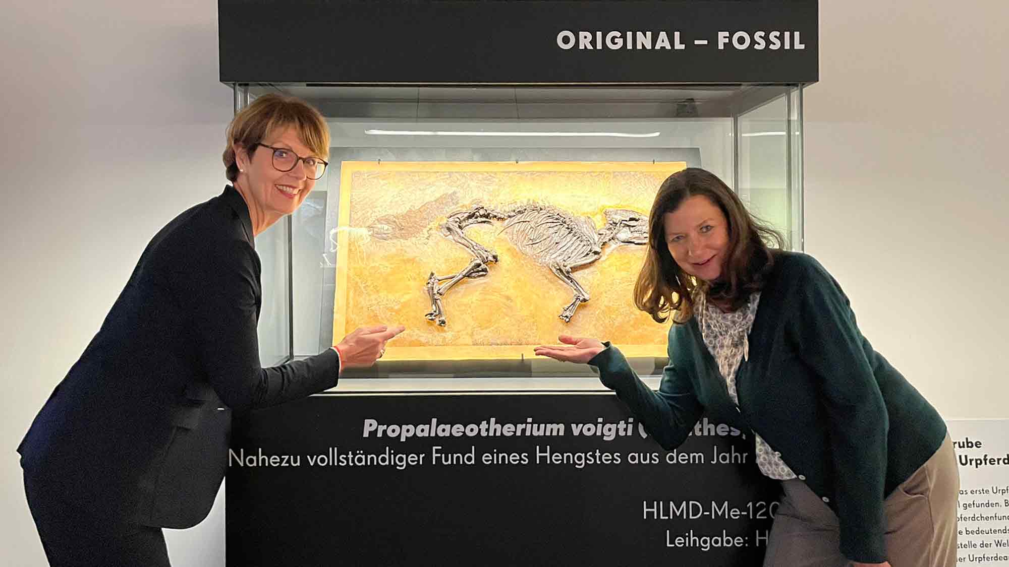 Urpferd 2.0 – die Tierwelt vor 50 Millionen Jahren im Westfälischen Pferdemuseum Münster, 29. Mai bis 28. September 2025 Urpferd 2.0 – die Tierwelt vor 50 Millionen Jahren im Westfälischen Pferdemuseum Münster, 29. Mai bis 28. September 2025