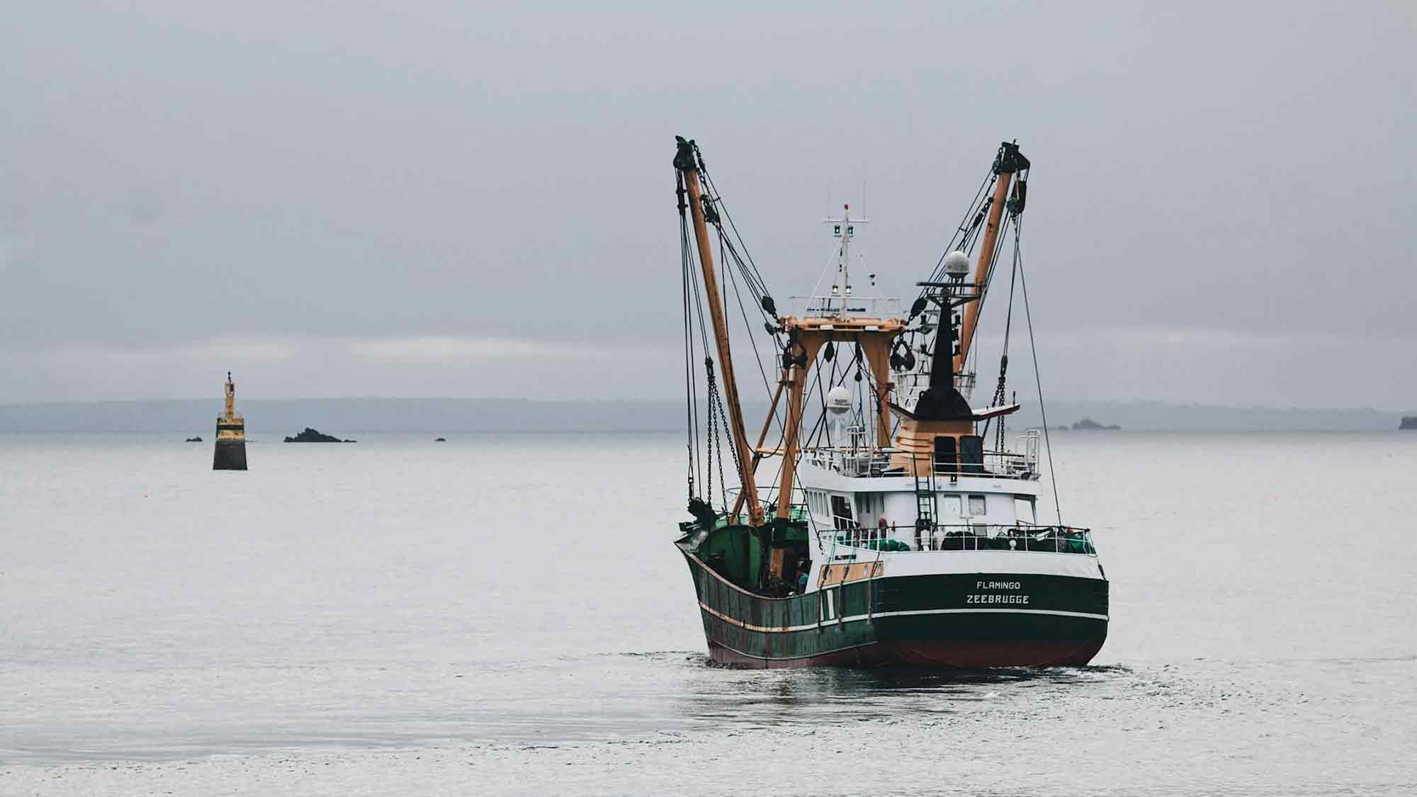 Deutsche Umwelthilfe zu Empfehlungen für Ostsee Fangquoten: »Veraltetes Verständnis führt zum Kollaps der Fischerei« Deutsche Umwelthilfe zu Empfehlungen für Ostsee Fangquoten: »Veraltetes Verständnis führt zum Kollaps der Fischerei«