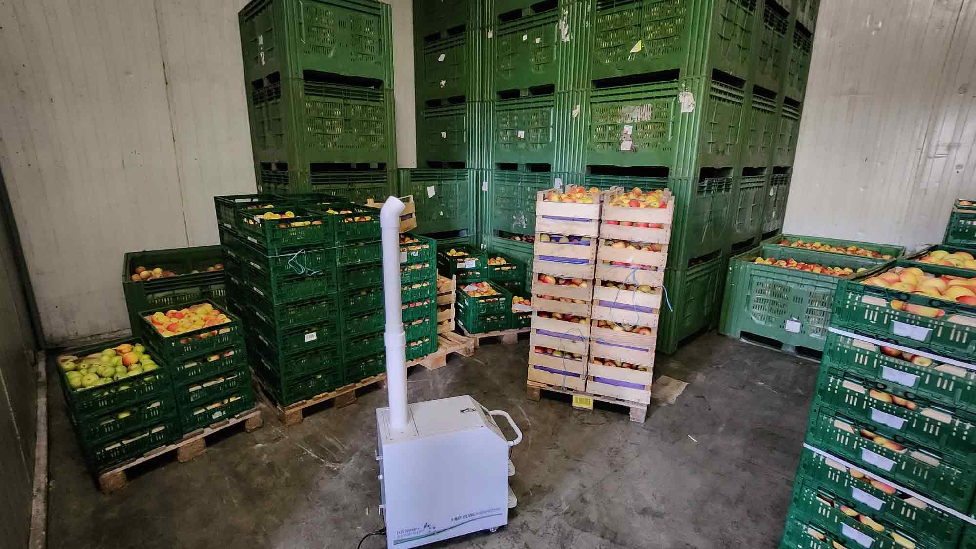 Kaltnebel Desinfektion für Lebensmittel: Innovativer Ansatz für längere Haltbarkeit?