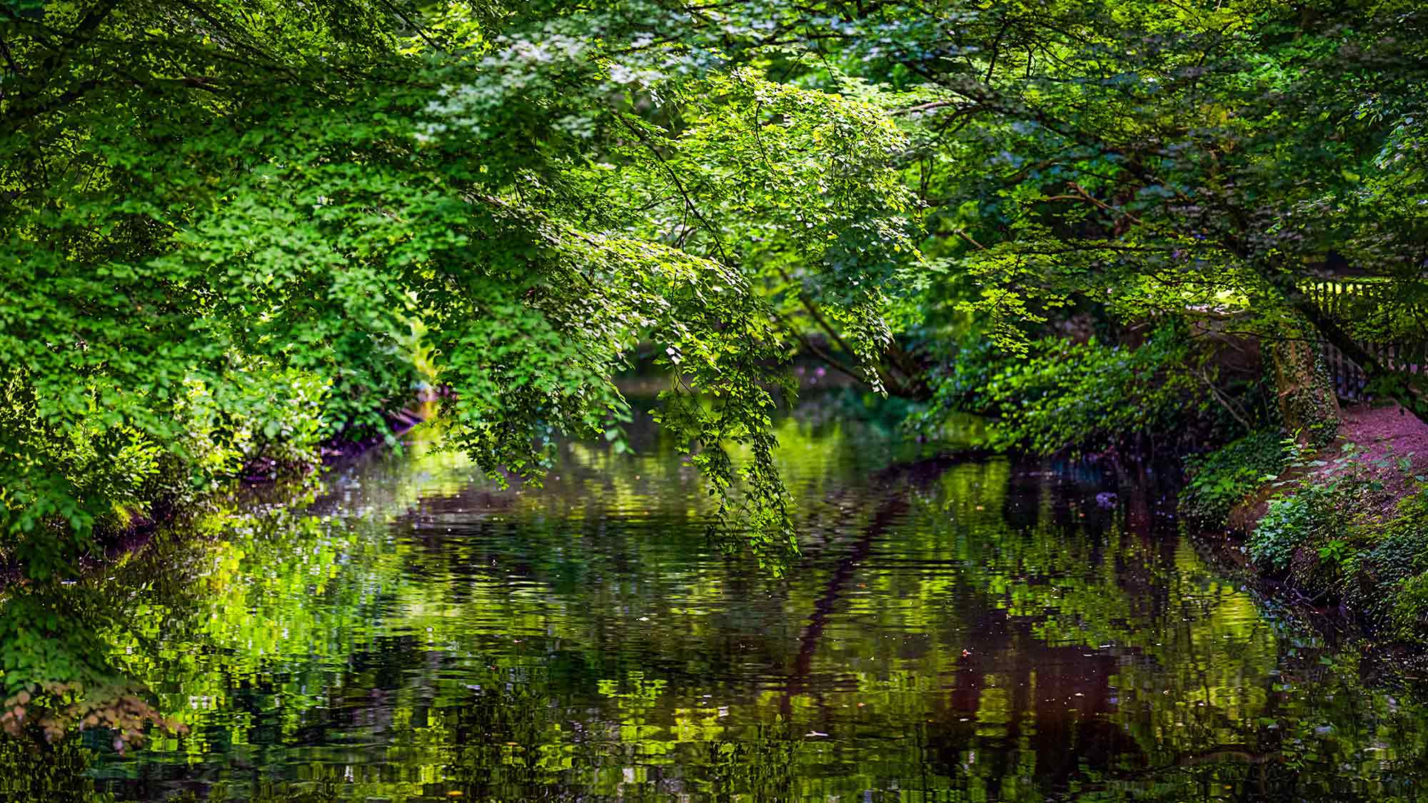 Dalke im Stadtpark Gütersloh Dalke im Stadtpark Gütersloh