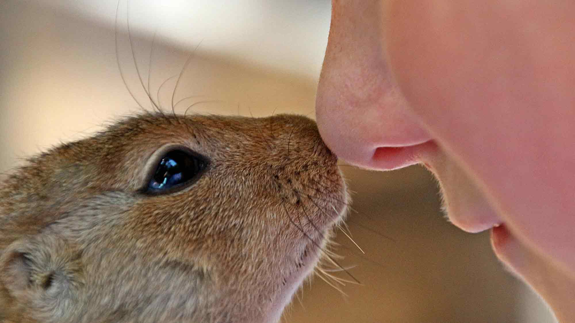 Urvertrauen stärken – Vertrauen ins eigene Leben finden Urvertrauen stärken – Vertrauen ins eigene Leben finden