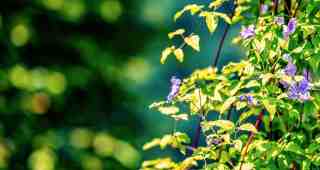 The NOW of Gütersloh