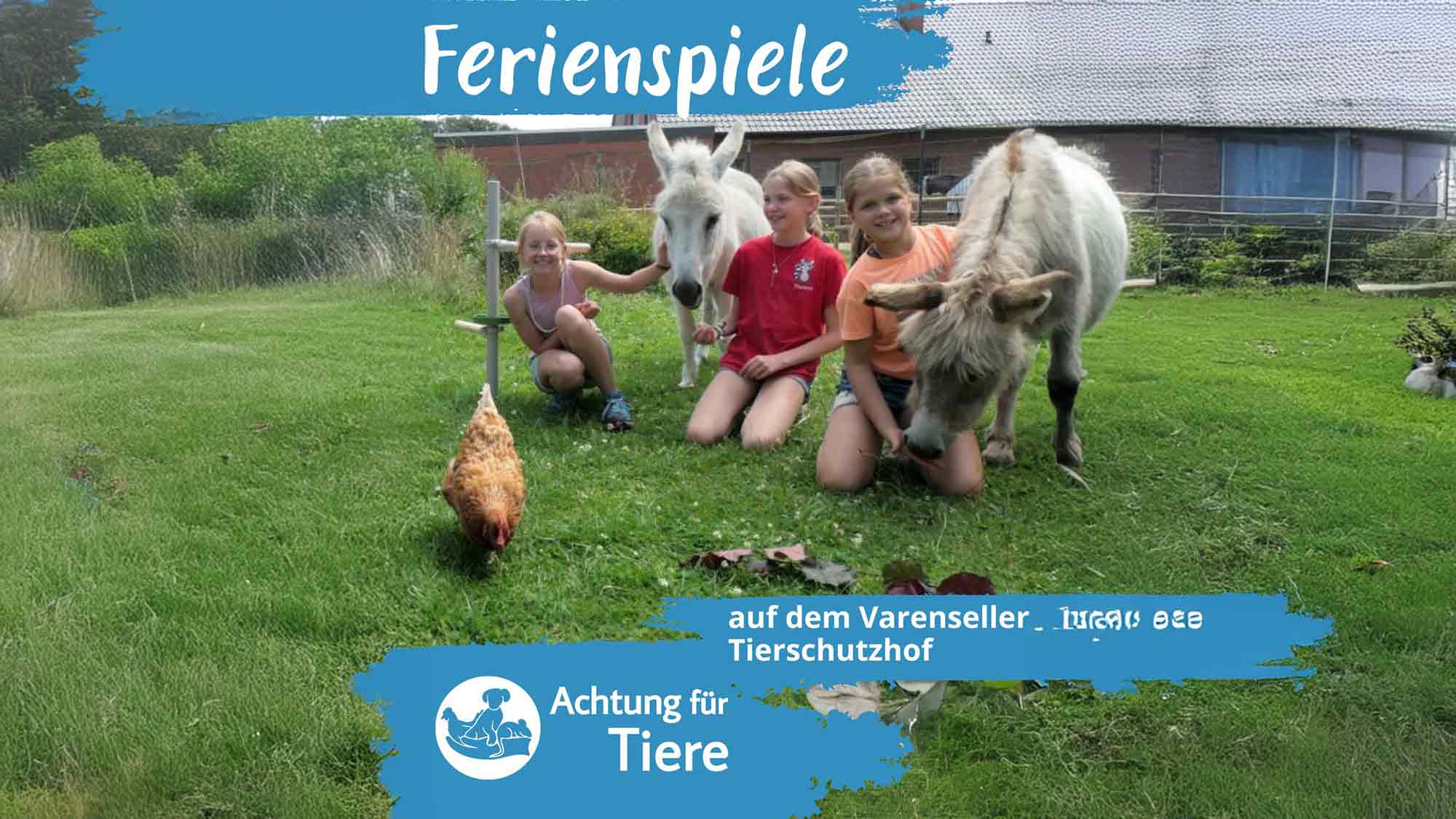 Ferienspiele auf dem Tierschutzhof in Varensell, freie Plätze am 22. und 23. Juli 2025 Ferienspiele auf dem Tierschutzhof in Varensell, freie Plätze am 22. und 23. Juli 2025