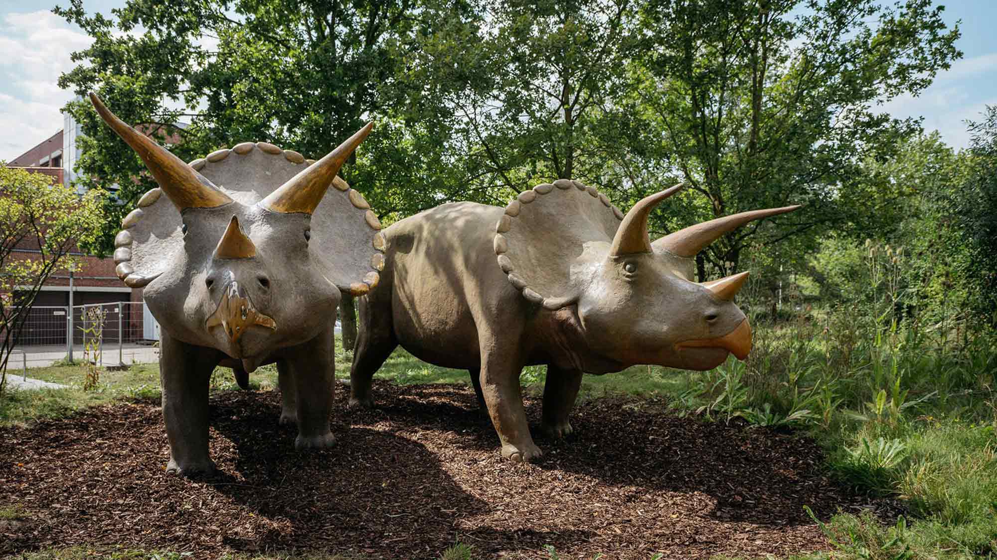 Eintritt frei im LWL Museum für Naturkunde, Gene Ausstellung kostenfrei erleben Eintritt frei im LWL Museum für Naturkunde, Gene Ausstellung kostenfrei erleben