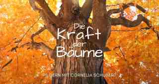 The NOW of Gütersloh