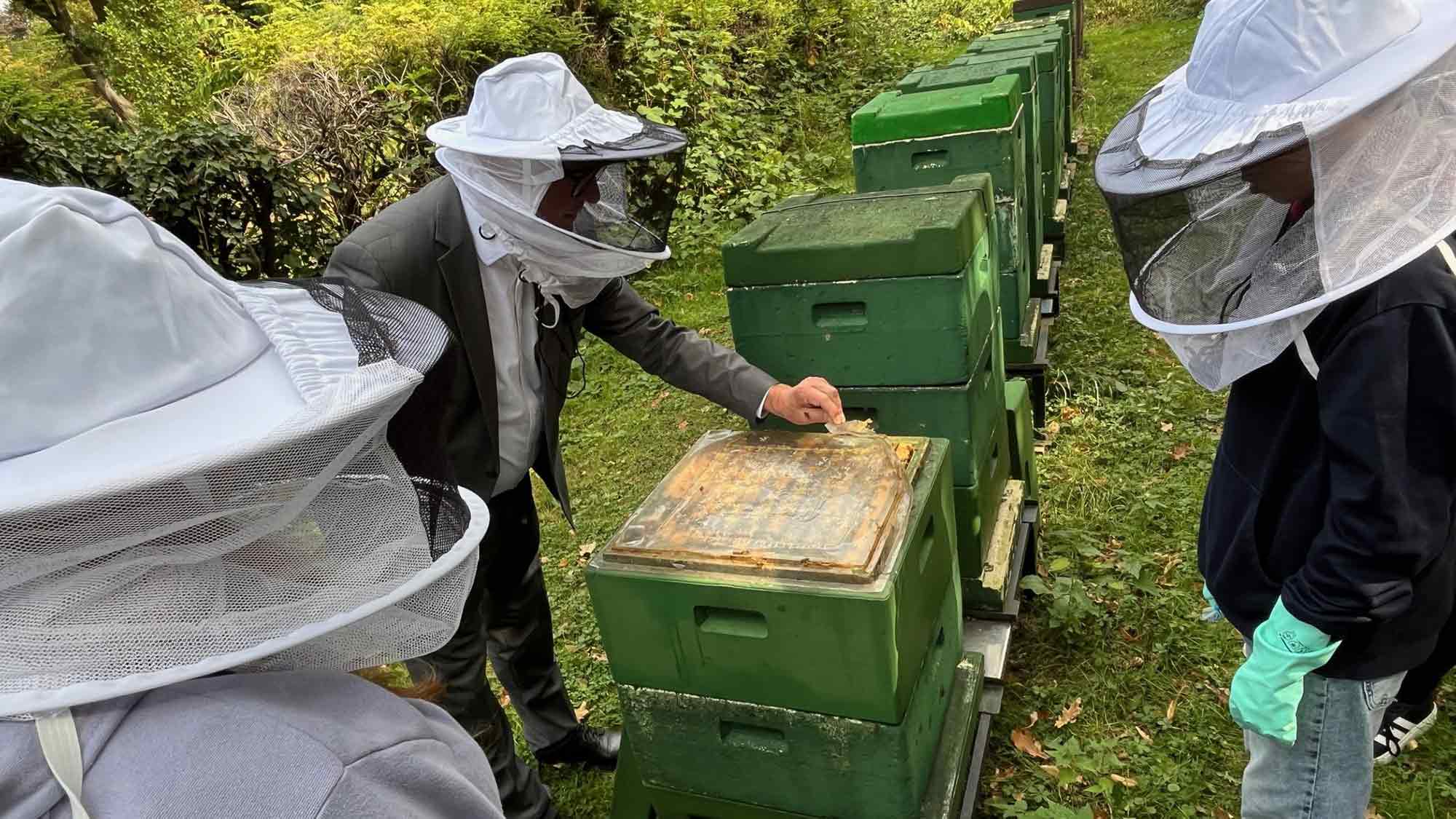Das Summen und Brummen des Spätsommers – Paderborns Bürgermeister gibt jungen LWL Patienten Tipps fürs Schulbienenbeet Das Summen und Brummen des Spätsommers – Paderborns Bürgermeister gibt jungen LWL Patienten Tipps fürs Schulbienenbeet