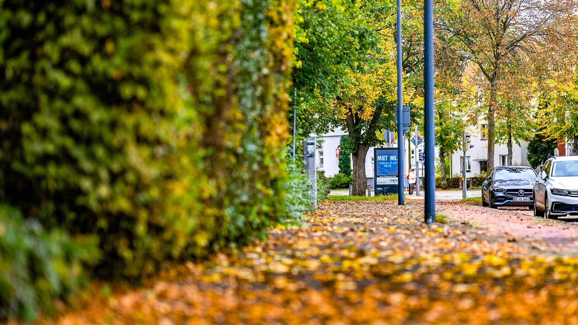 NOW Commons: herbstlicher Bürgersteig in Gütersloh NOW Commons: herbstlicher Bürgersteig in Gütersloh