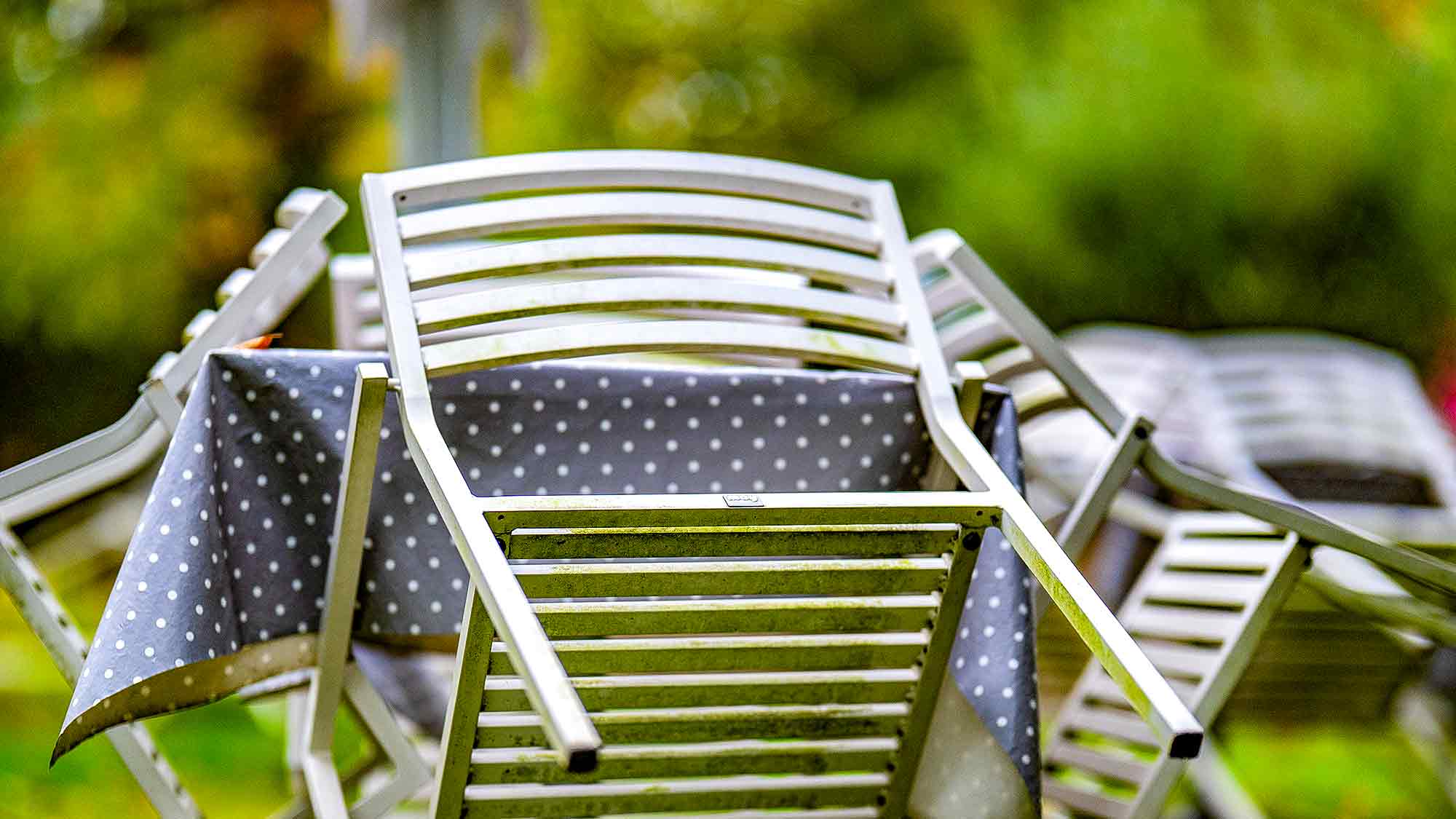NOW Commons: Außengastronomie, Palmenhauscafé, Botanischer Garten Gütersloh NOW Commons: Außengastronomie, Palmenhauscafé, Botanischer Garten Gütersloh