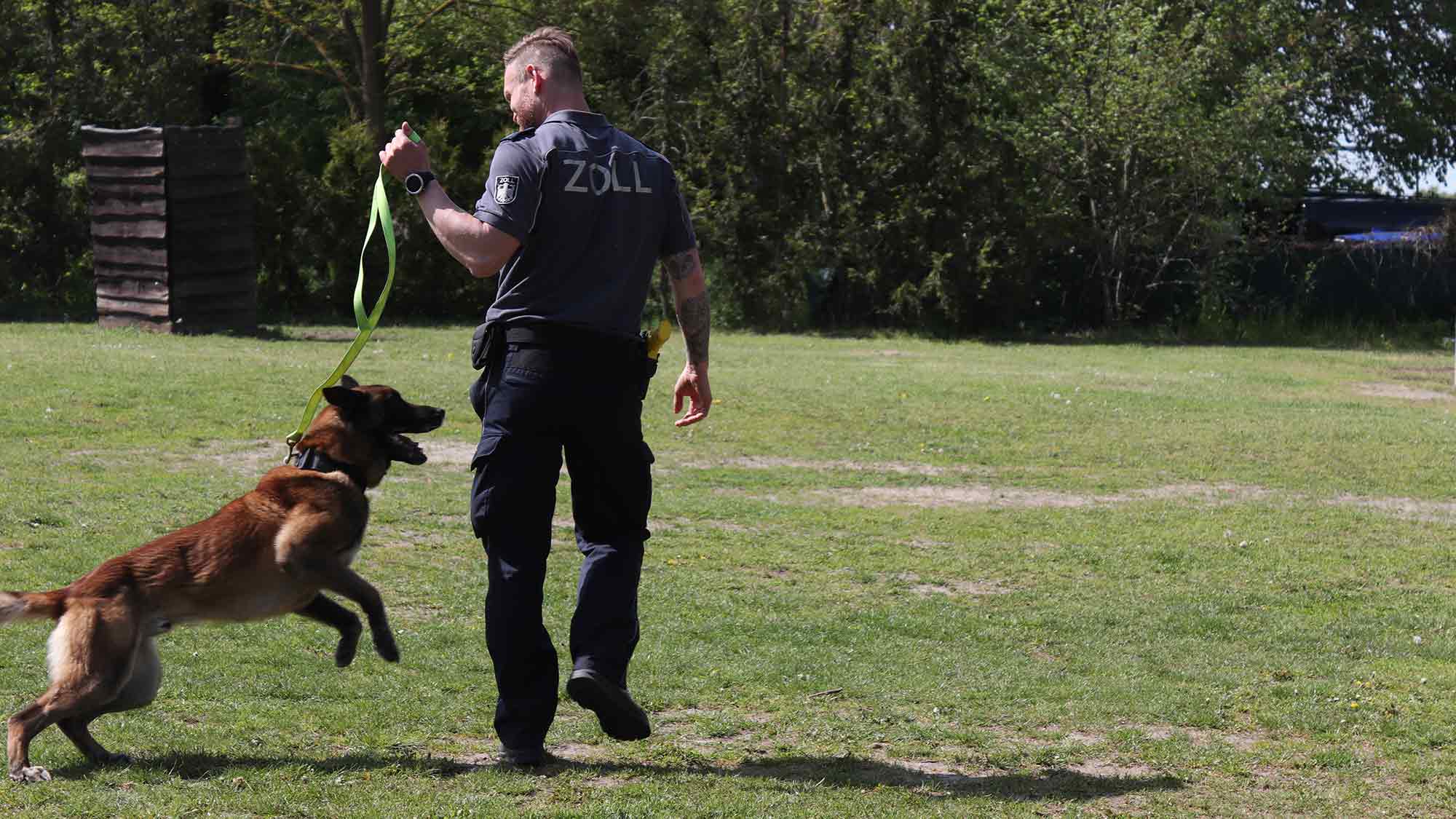 Hauptzollamt Potsdam: Zollhund Ego lässt Cannabisschmuggel am Flughafen BER auffliegen