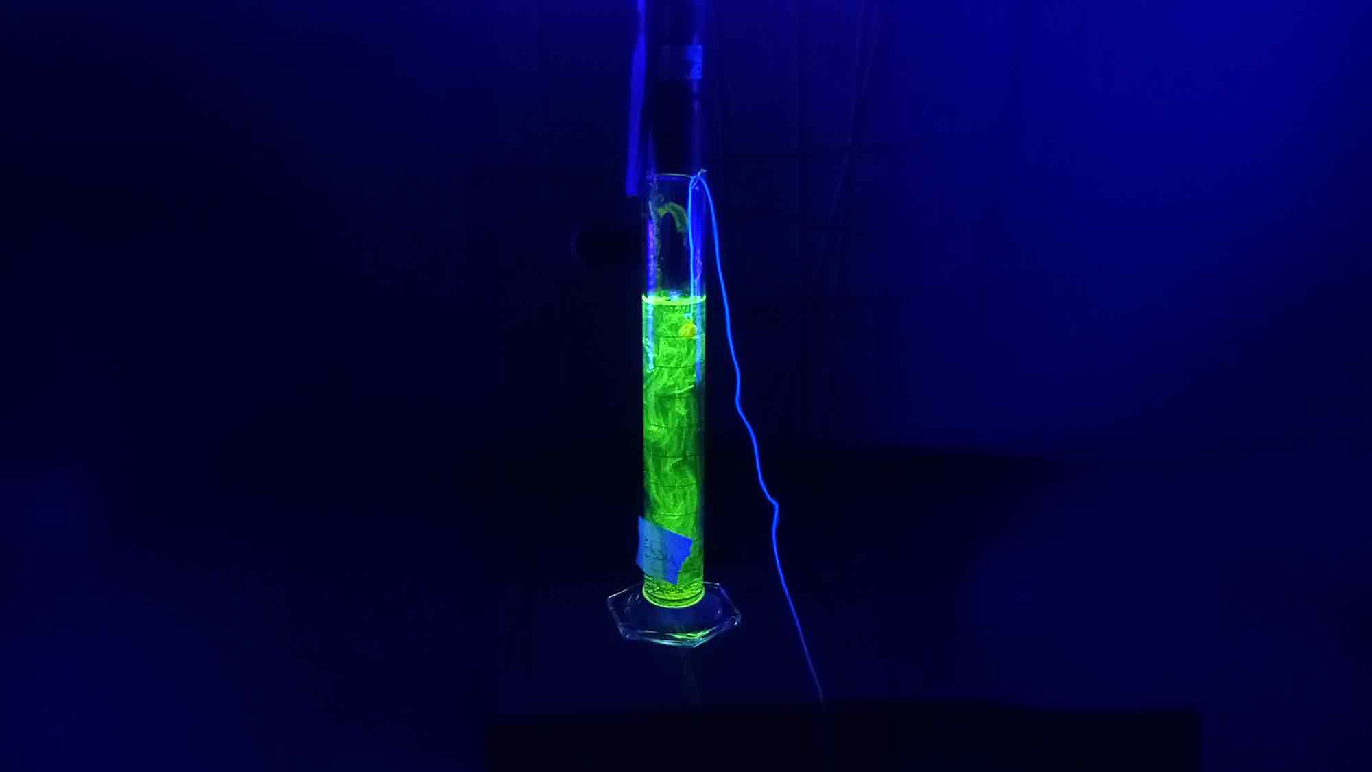 »(Un)Sichtbar – Offener Kreativtag, »Wissenswerkstadt« und Kunsthalle Bielefeld laden zu Experimenten mit Licht und Farbe ein, 24. Januar 2026 »(Un)Sichtbar – Offener Kreativtag, »Wissenswerkstadt« und Kunsthalle Bielefeld laden zu Experimenten mit Licht und Farbe ein, 24. Januar 2026