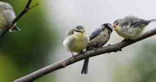 The NOW of Gütersloh