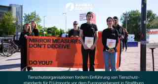 The NOW of Gütersloh