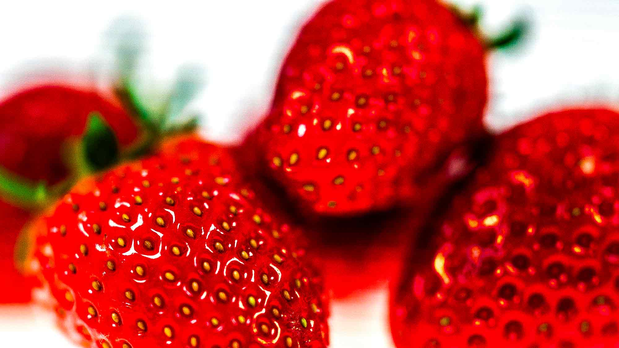 NOW Commons: Erdbeeren