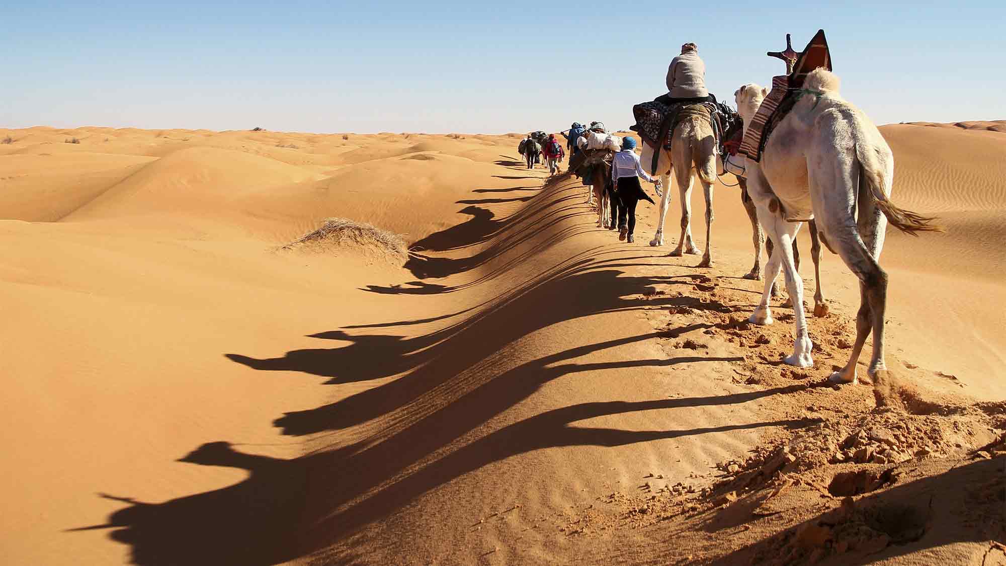 Afrika bewegt und berührt: aktive Vielfalt quer über den Kontinent Afrika bewegt und berührt: aktive Vielfalt quer über den Kontinent