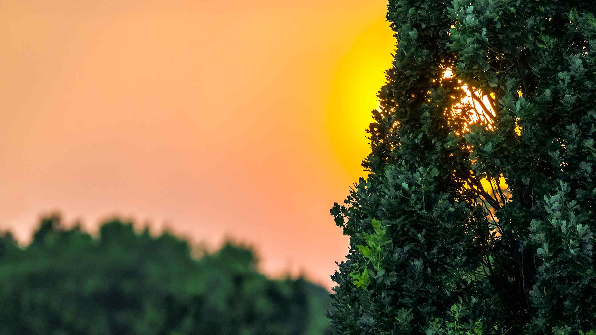 NOW Commons: Sonnenuntergang in Gütersloh