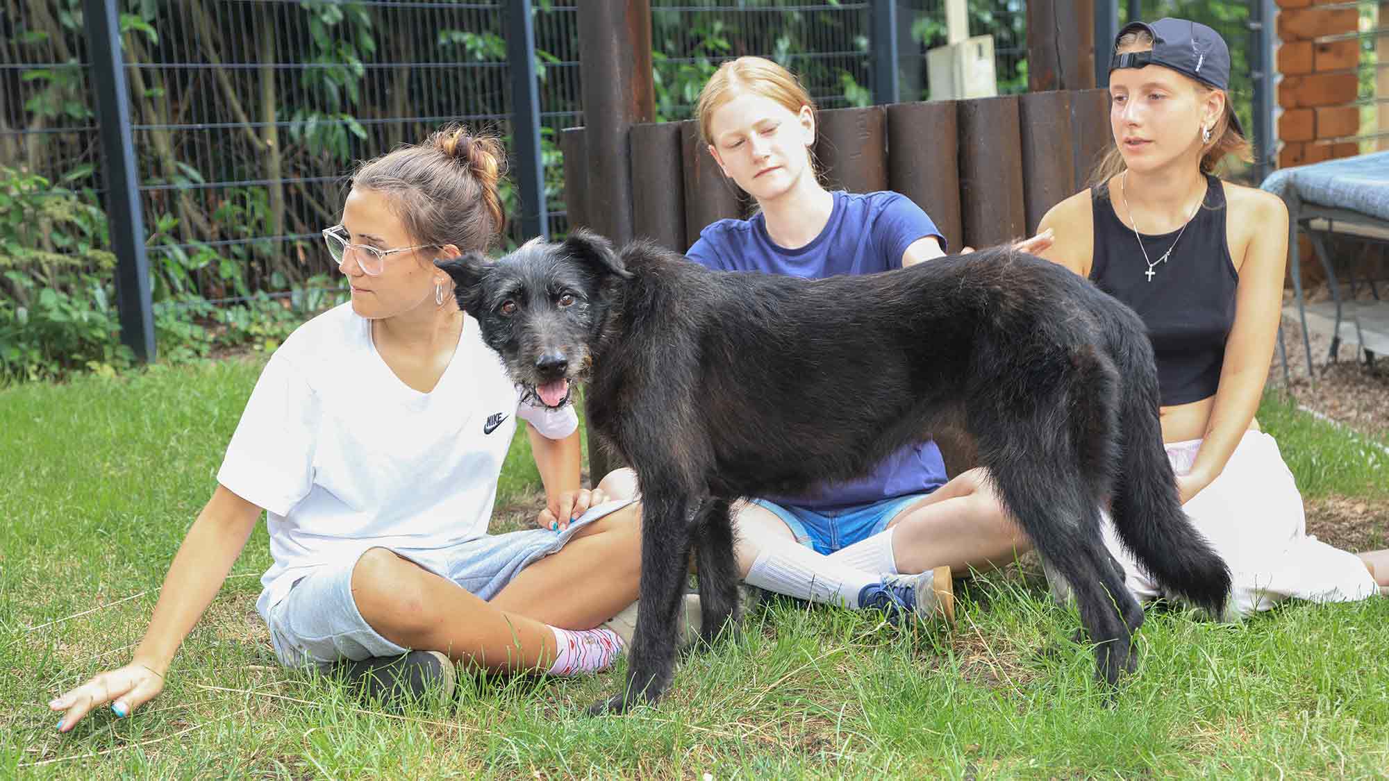 Tag der Offenen Tür bei »Achtung für Tiere« in Rietberg, 5. Juli 2026 Tag der Offenen Tür bei »Achtung für Tiere« in Rietberg, 5. Juli 2026