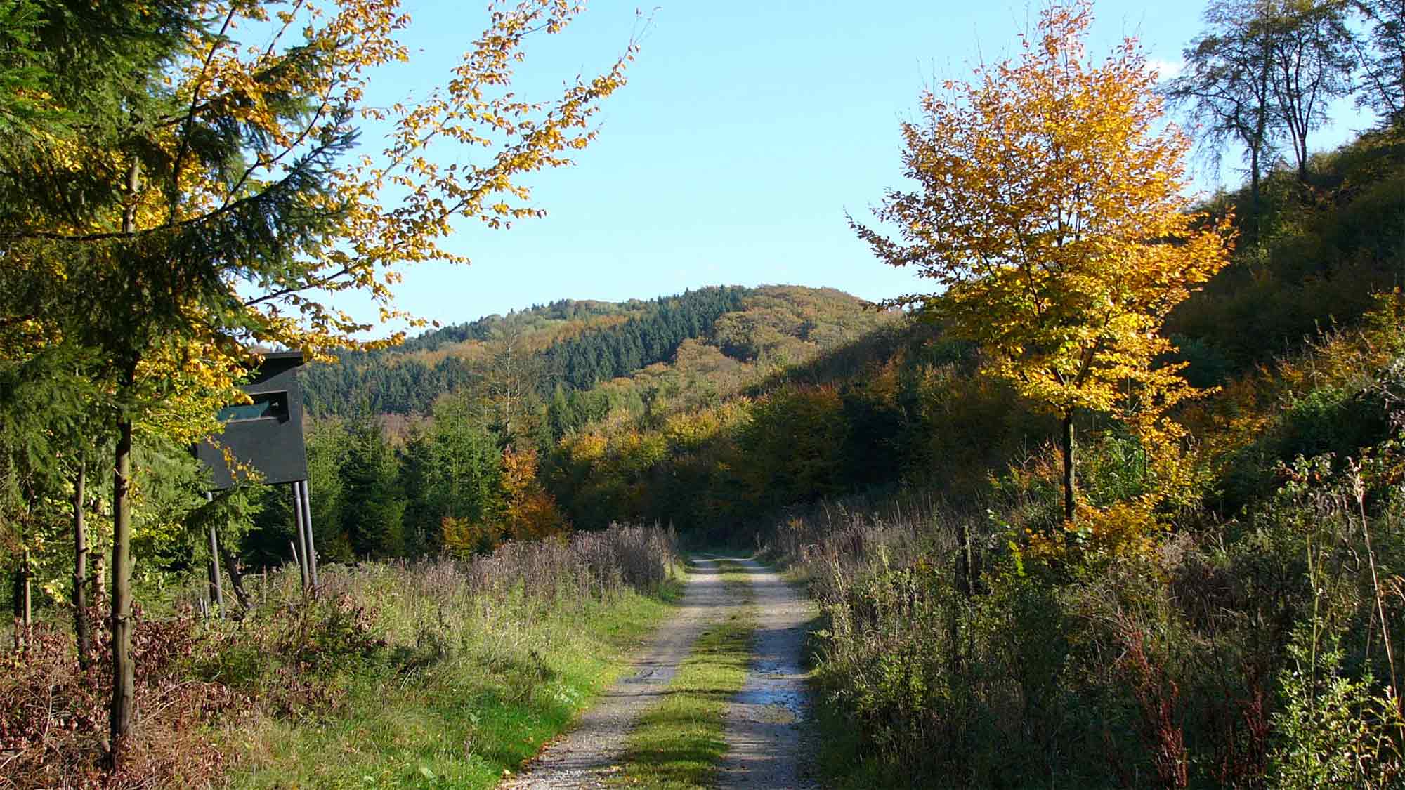 Teutoburger Wald – Natur, Kultur und Ausflugsziele vor den Toren Güterslohs
