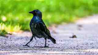The NOW of Gütersloh