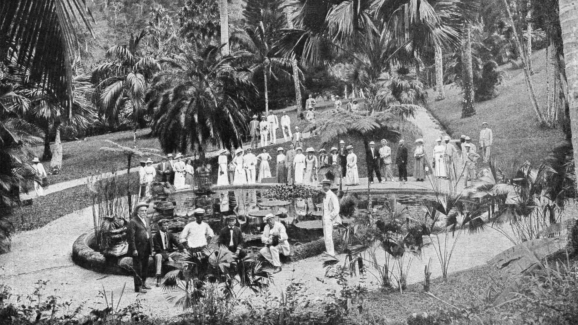 Das Gütersloher Bananenmuseum: Wie die Banane nach Gütersloh kam