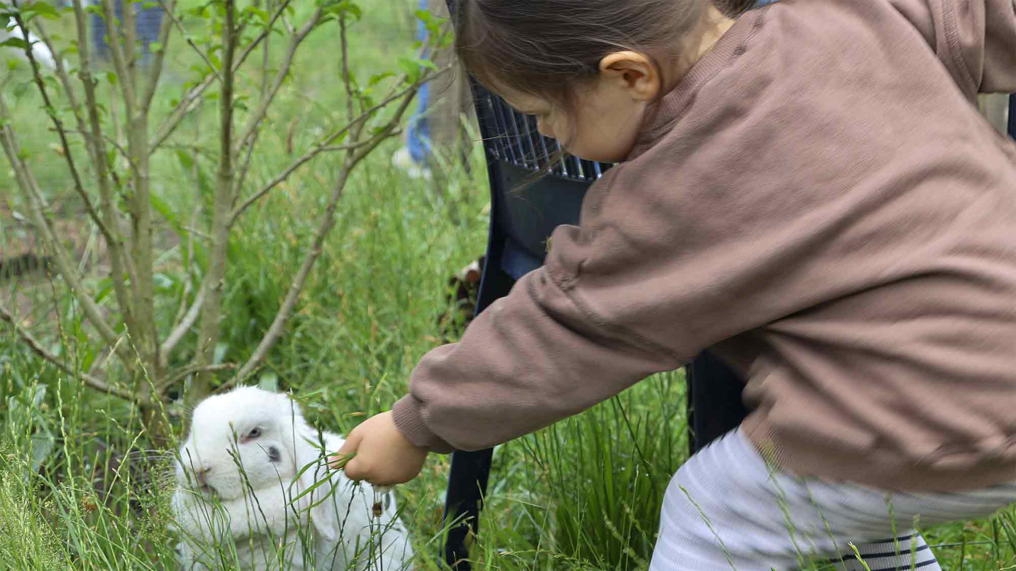 Viel los auf dem Tierschutzhof in Varensell – Offene Tür, Zeltlager und eine Woche Tierschutzferien Viel los auf dem Tierschutzhof in Varensell – Offene Tür, Zeltlager und eine Woche Tierschutzferien