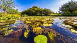 The NOW of Gütersloh