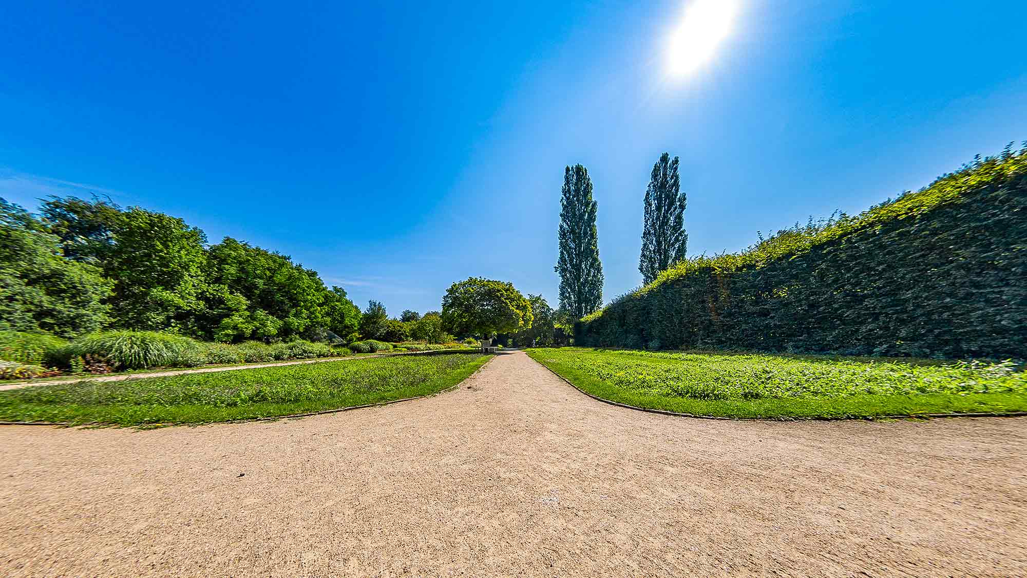 NOW Commons: Kugelahorn, Rondellbank, Botanischer Garten Gütersloh …