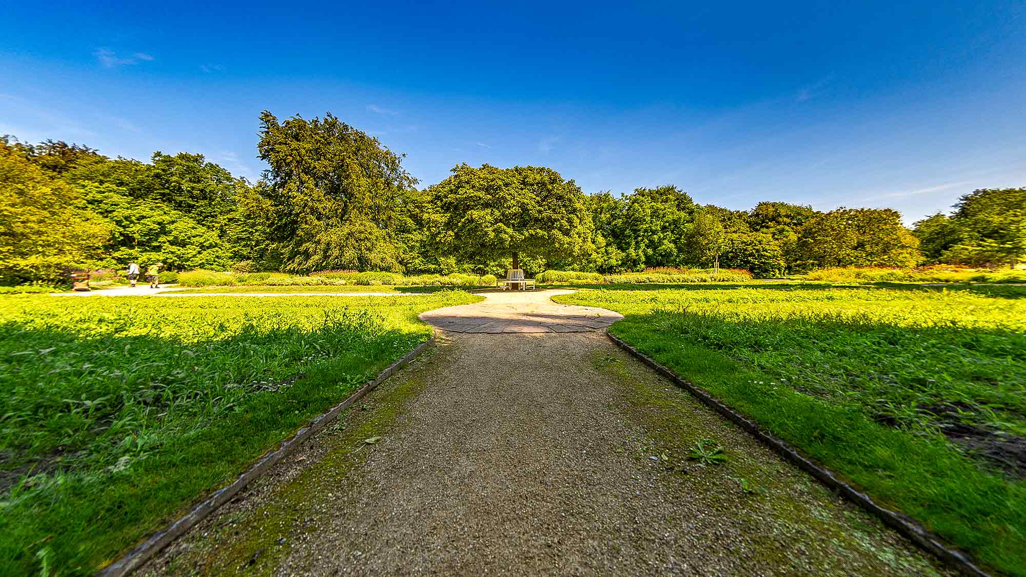 NOW Commons: Kugelahorn, Rondellbank, Botanischer Garten Gütersloh …