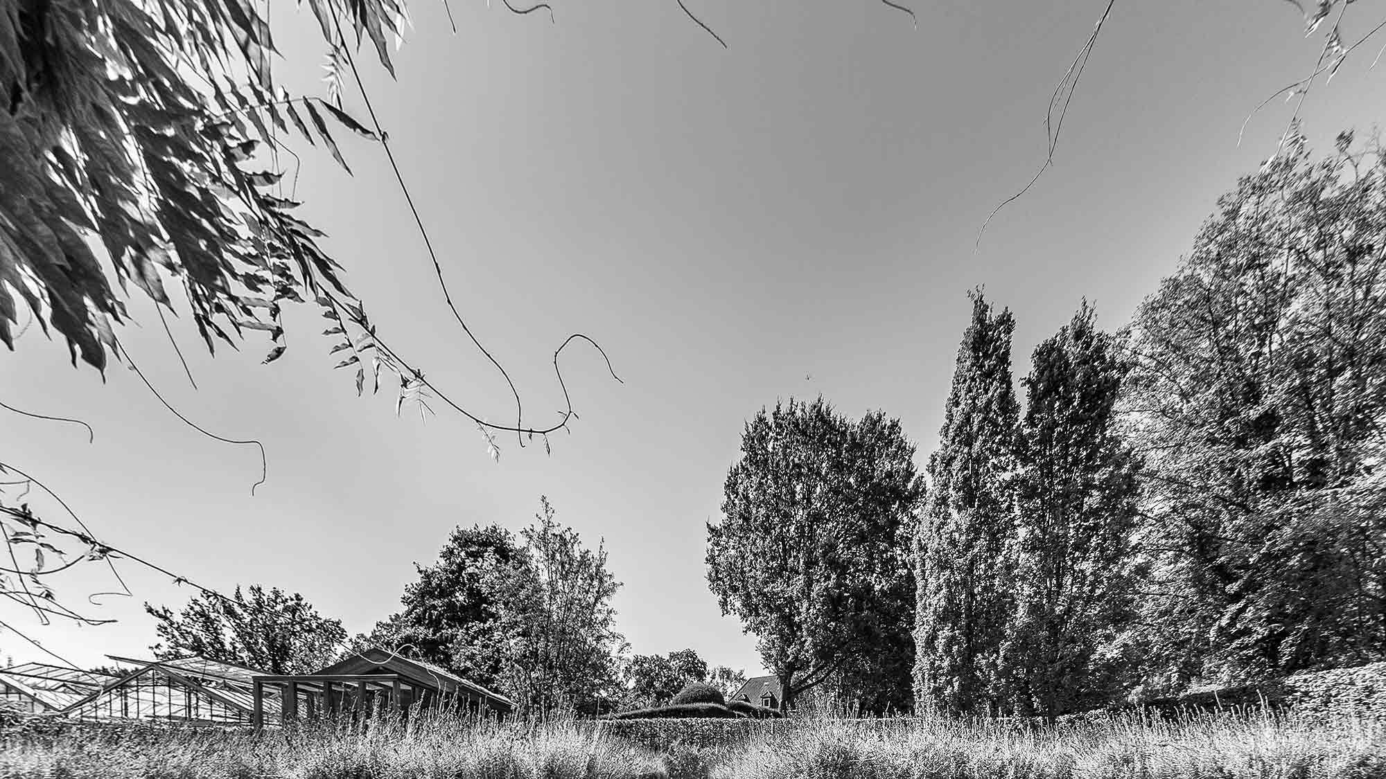NOW Commons: Lavendelgarten, Botanischer Garten Gütersloh … NOW Commons: Lavendelgarten, Botanischer Garten Gütersloh …