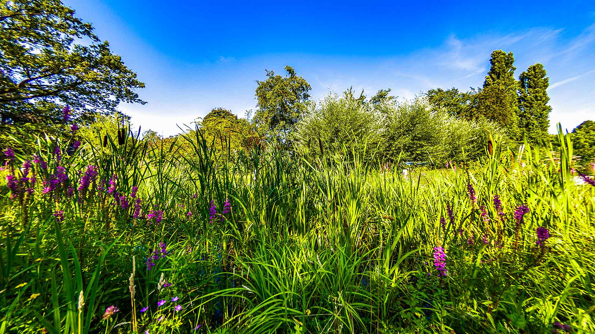 NOW Commons: Botanischer Garten Gütersloh …