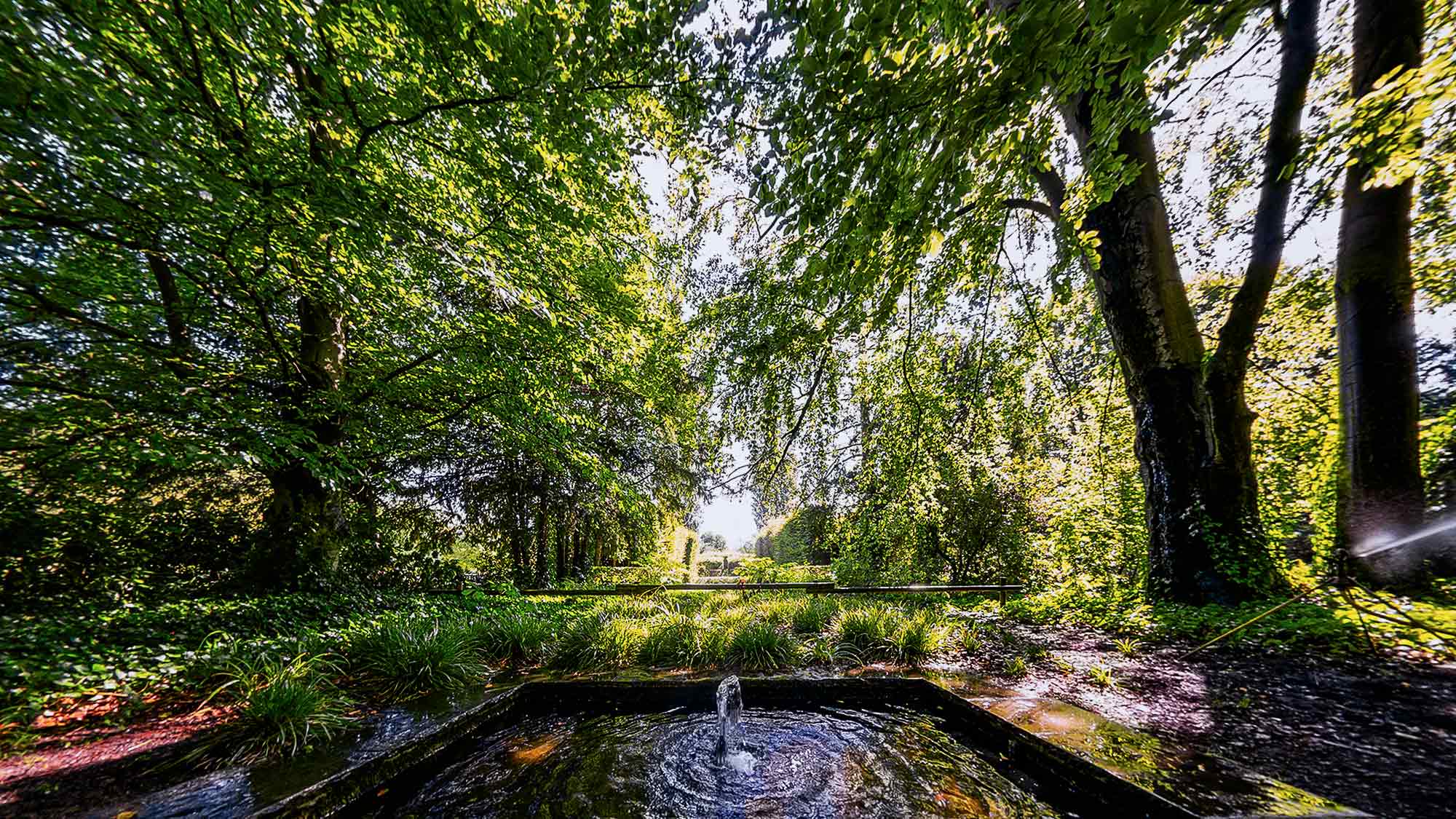 NOW Commons: Botanischer Garten Gütersloh NOW Commons: Botanischer Garten Gütersloh