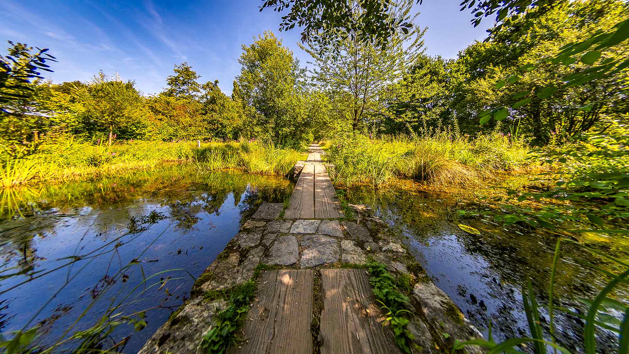 NOW Commons: Botanischer Garten Gütersloh … NOW Commons: Botanischer Garten Gütersloh …