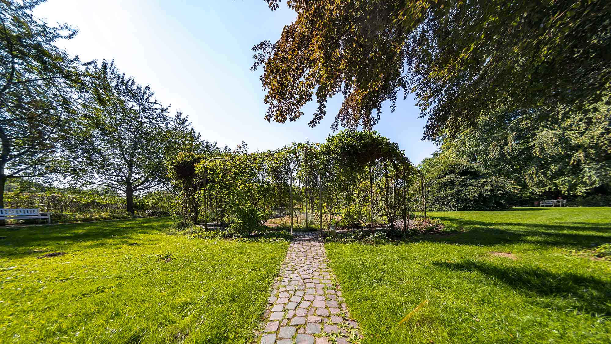 NOW Commons: Botanischer Garten Gütersloh, Geruchstunnel von Ólafur Elíasson … NOW Commons: Botanischer Garten Gütersloh, Geruchstunnel von Ólafur Elíasson …