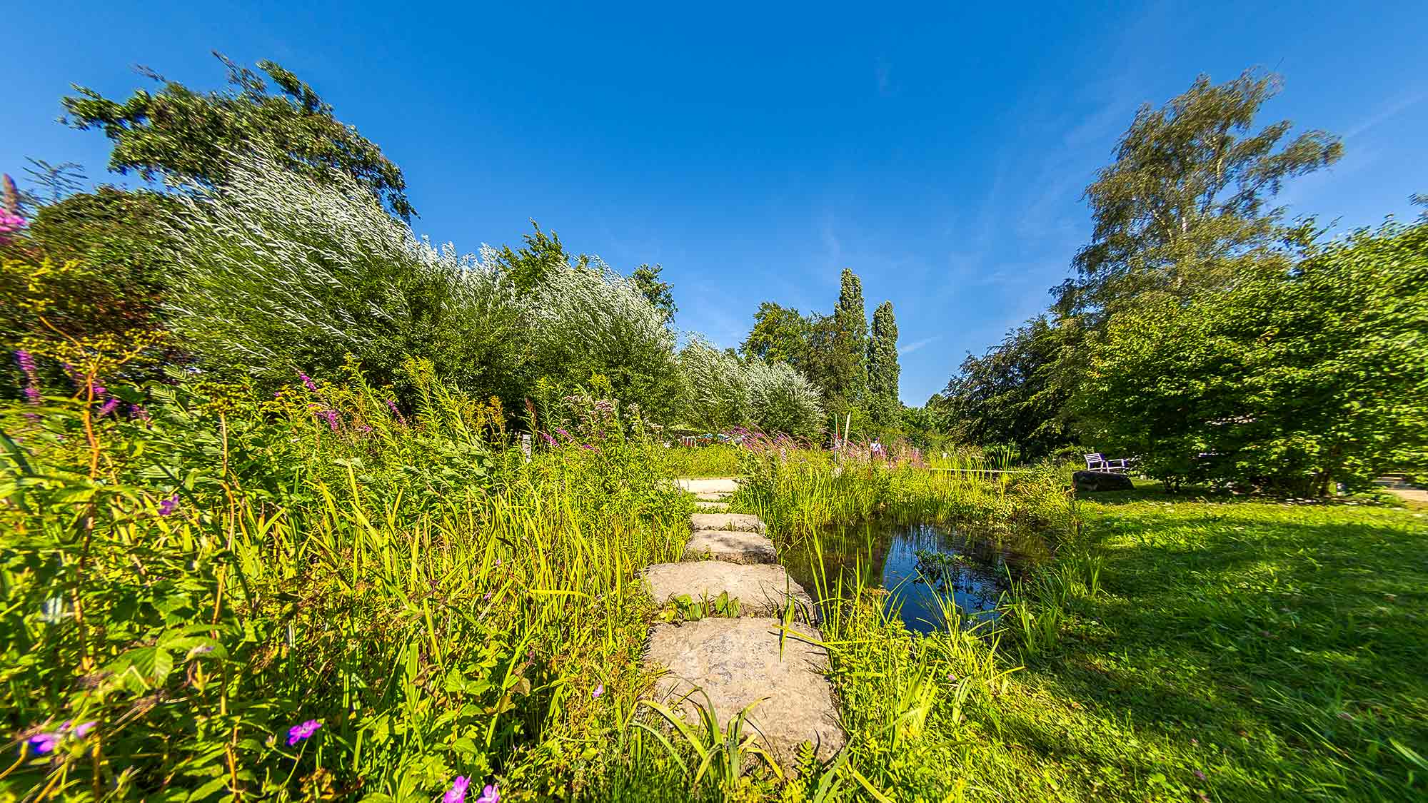 NOW Commons: Botanischer Garten Gütersloh NOW Commons: Botanischer Garten Gütersloh