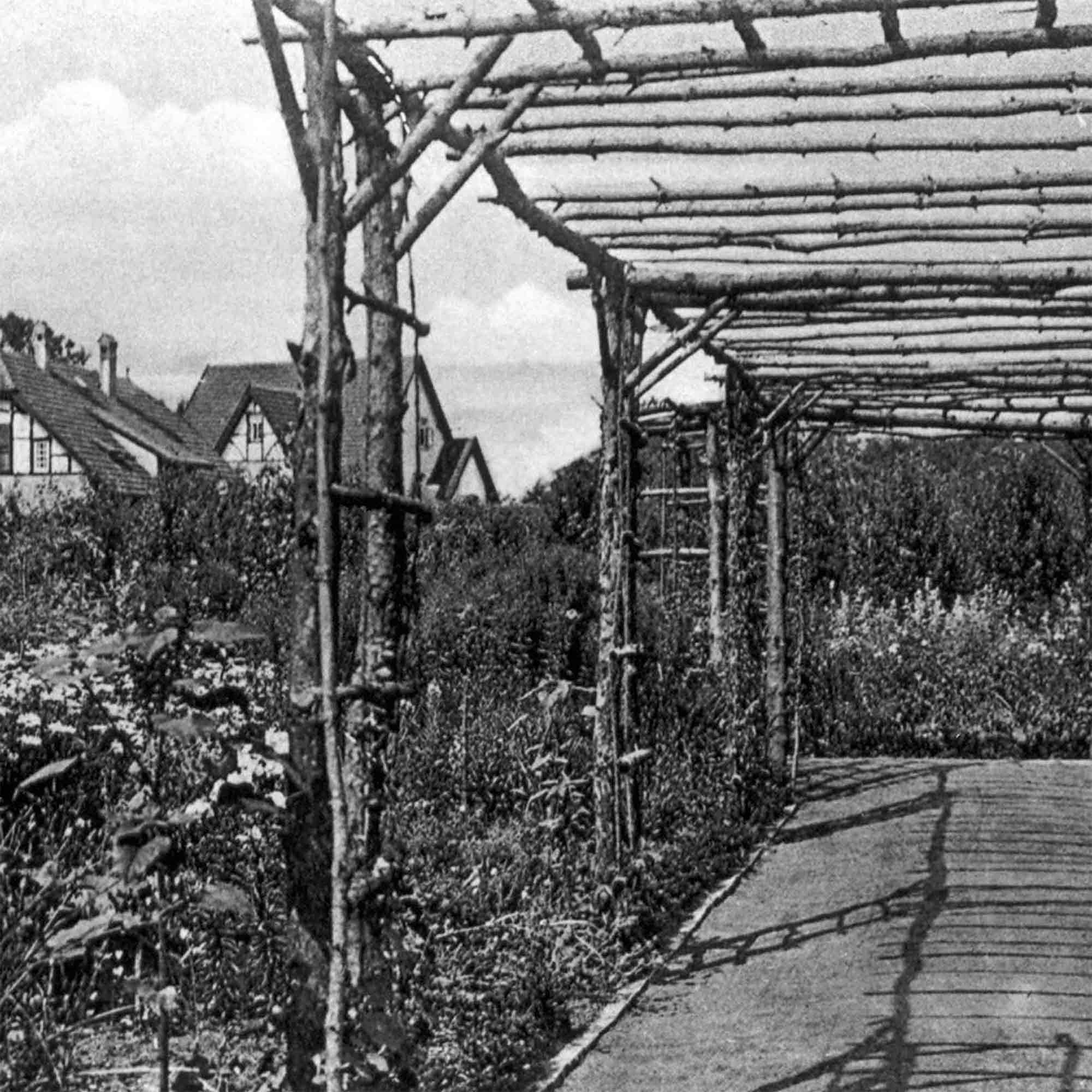 Botanischer Garten Gütersloh – Karl Rogge, »100 Jahren Botanischer« (2012) Botanischer Garten Gütersloh – Karl Rogge, »100 Jahren Botanischer« (2012)