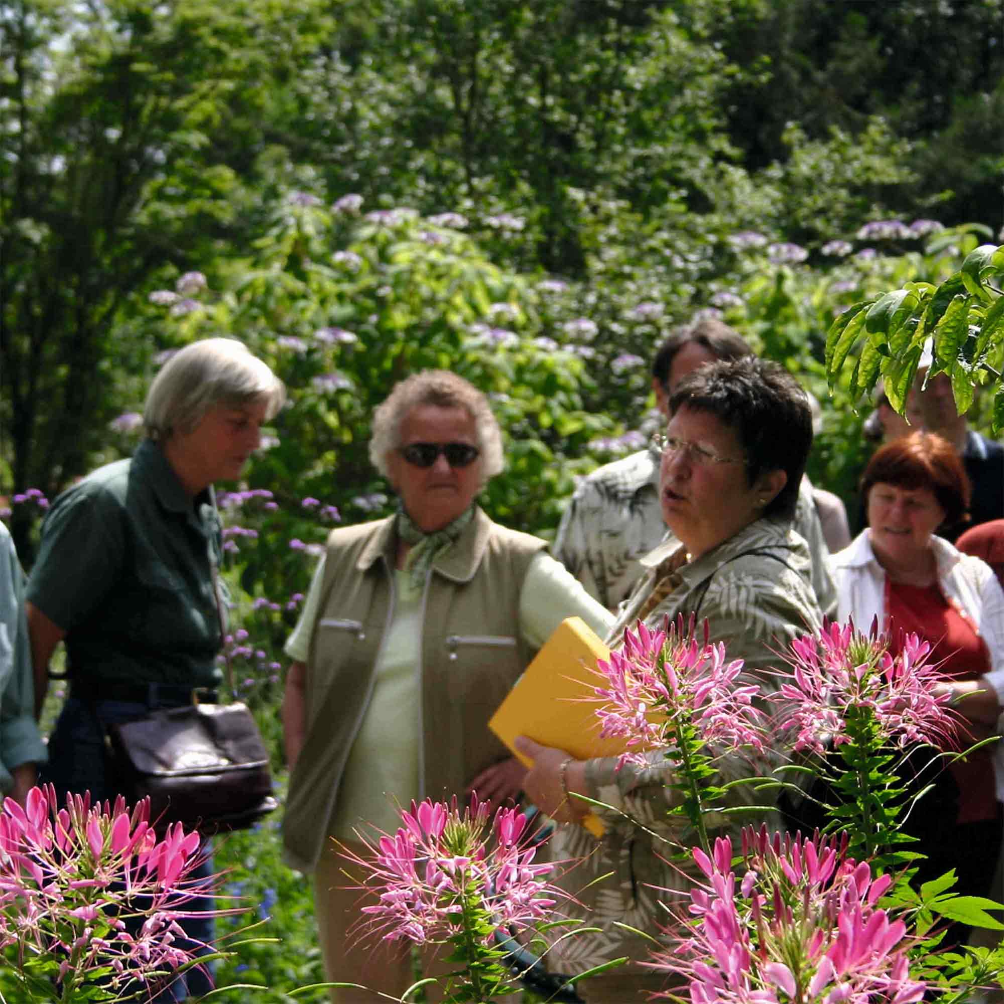 Botanischer Garten Gütersloh – Barbara Weidler, die »Meisterin der Blumen«, »100 Jahren Botanischer« (2012) Botanischer Garten Gütersloh – Barbara Weidler, die »Meisterin der Blumen«, »100 Jahren Botanischer« (2012)