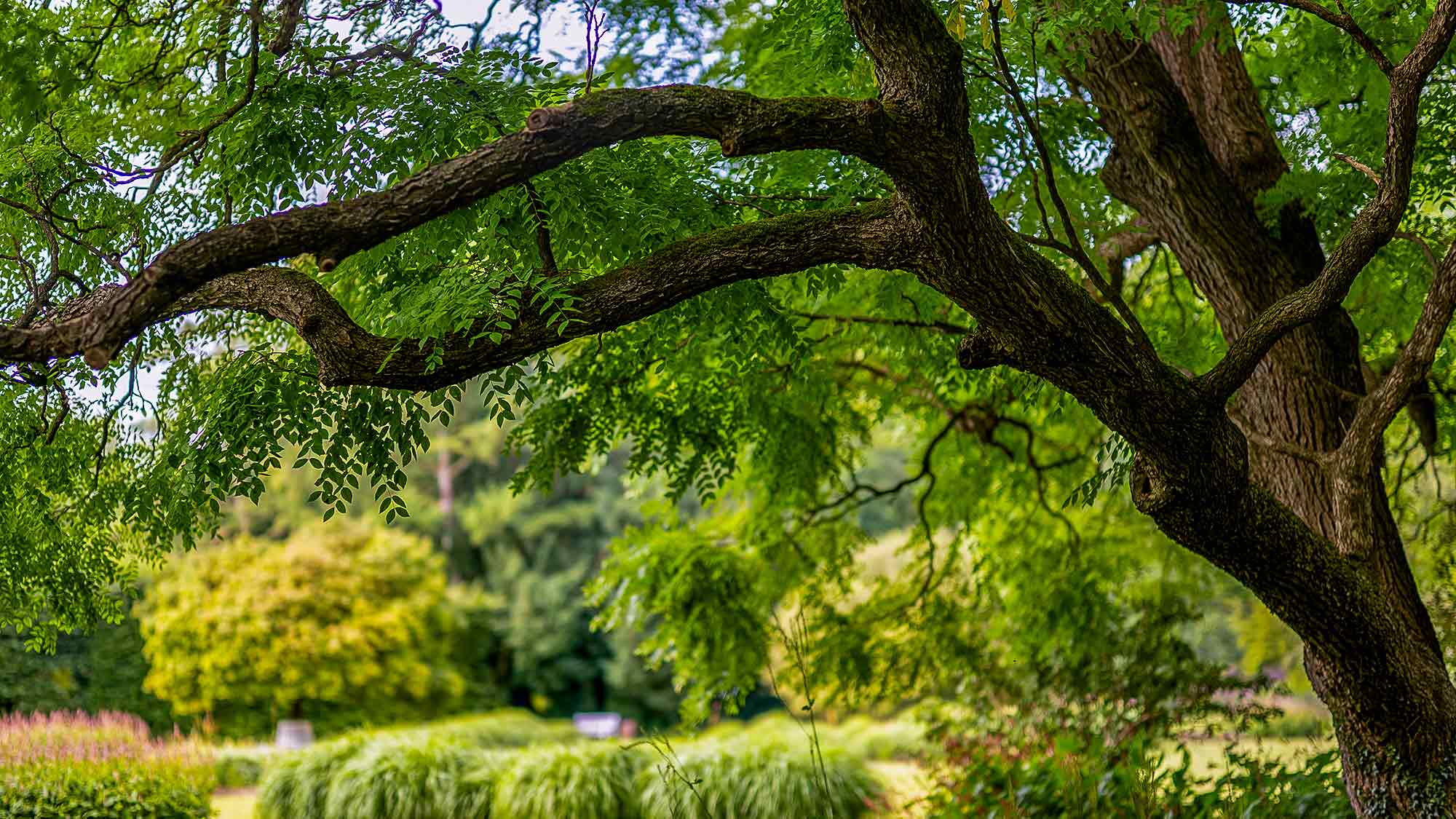 NOW Commons: Botanischer Garten Gütersloh … NOW Commons: Botanischer Garten Gütersloh …