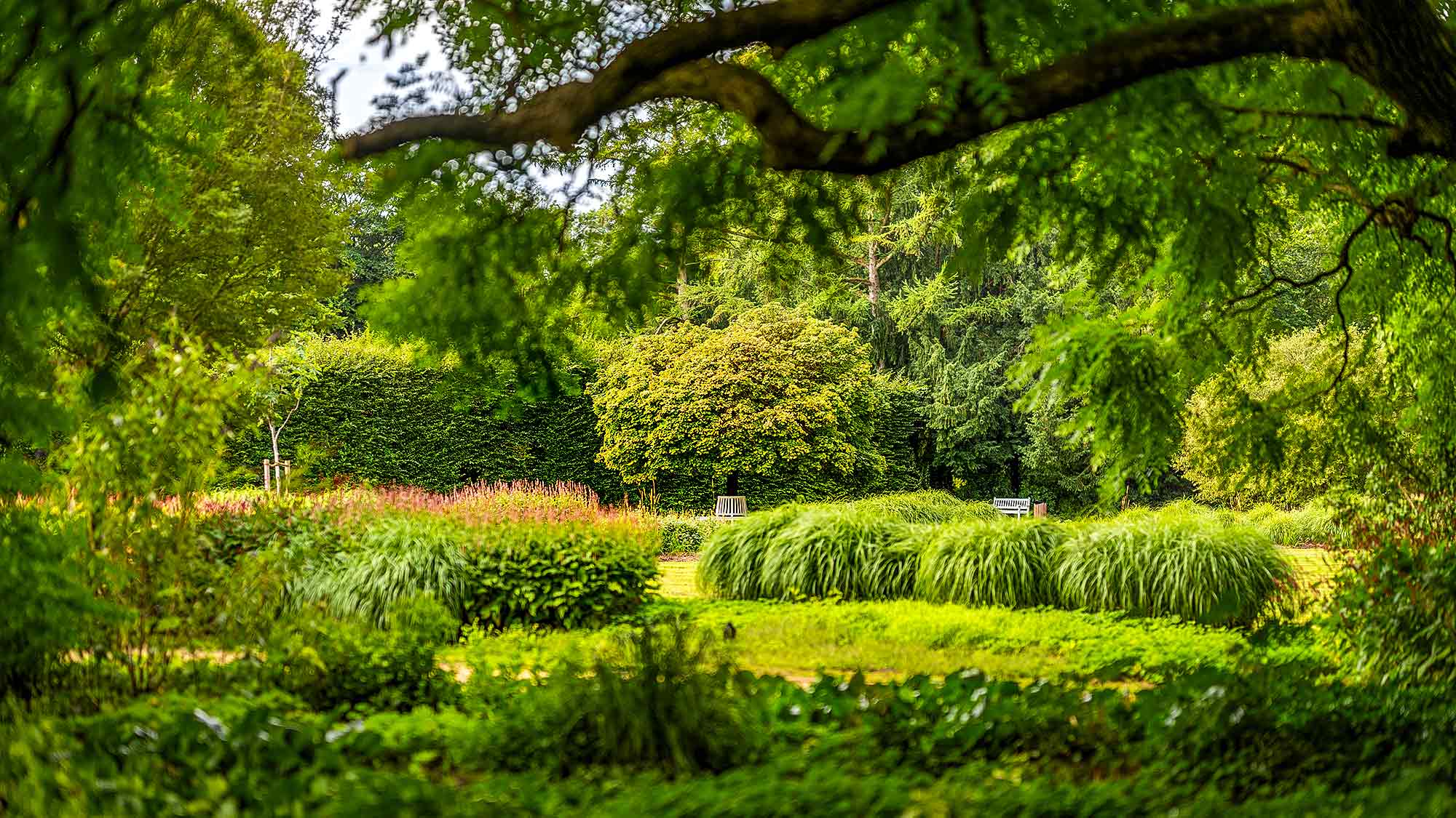 NOW Commons: Kugelahorn und Rondellbank, Botanischer Garten Gütersloh … NOW Commons: Kugelahorn und Rondellbank, Botanischer Garten Gütersloh …