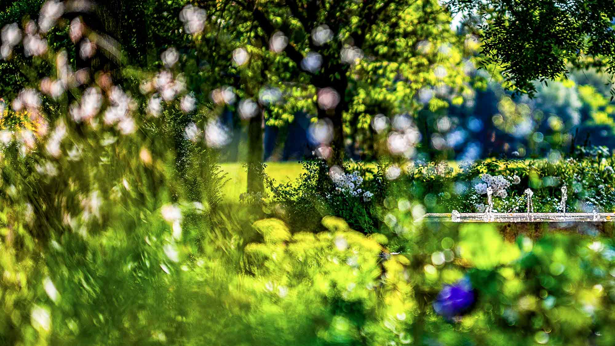 NOW Commons: Wasserspiel, Botanischer Garten Gütersloh … NOW Commons: Wasserspiel, Botanischer Garten Gütersloh …